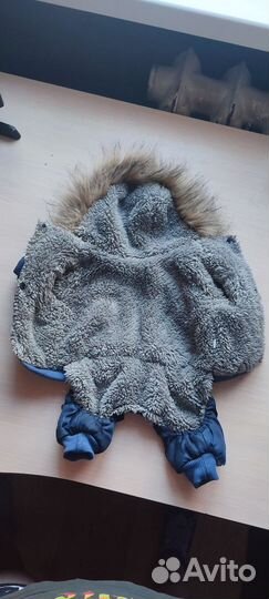 Одежда для маленьких собак