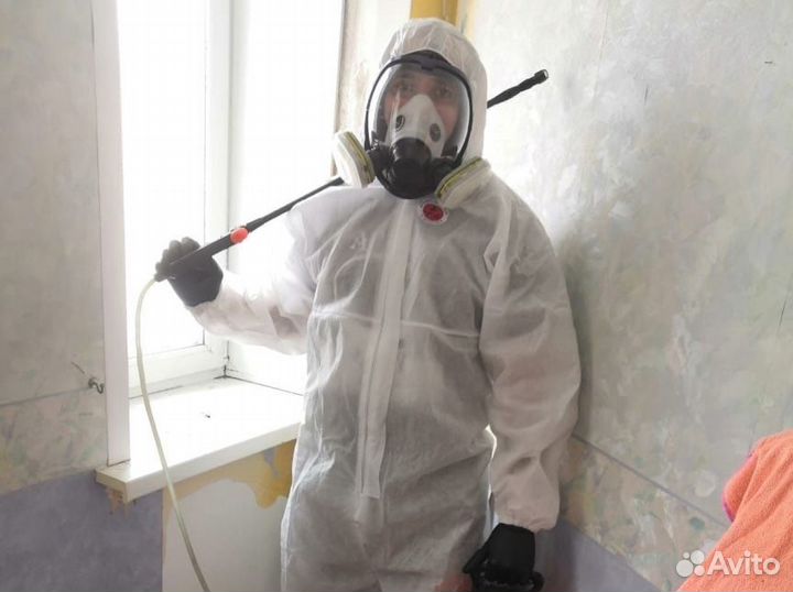 Уничтожение клопов тараканов Дезинфекция Обработка