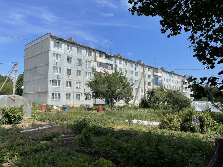 1-к. квартира, 30,3 м², 4/5 эт.