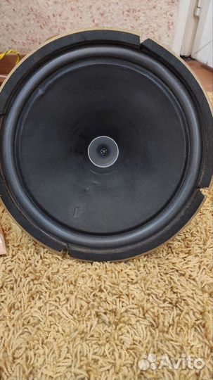 Tannoy hpd 315 / 12 дюймов
