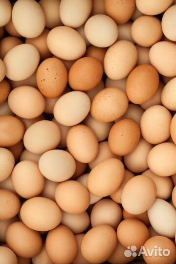 Переборщики