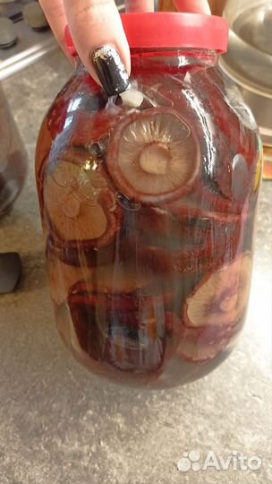 Чёрные грузди