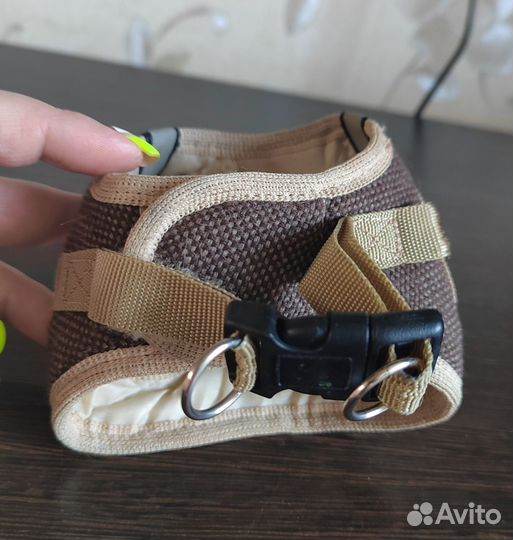Шлейка для маленькой собаки
