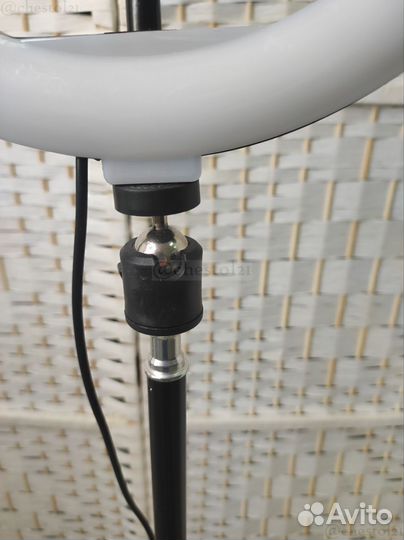 Кольцевая лампа