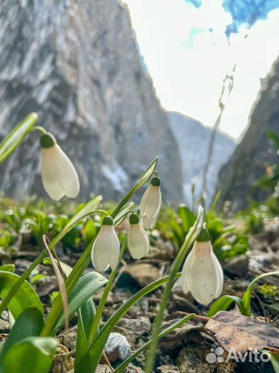 Джип-тур по Абхазии