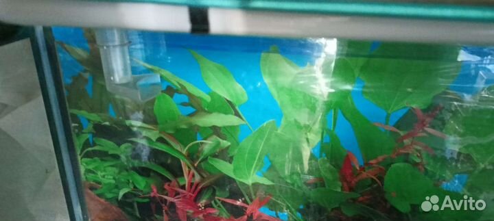 Аквариум для рыбок новый