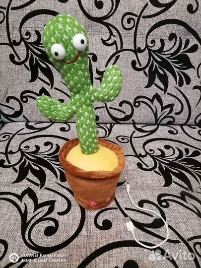 Танцующий кактус