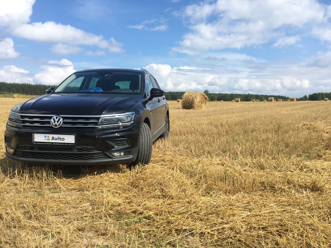 Volkswagen Tiguan: фото владельца