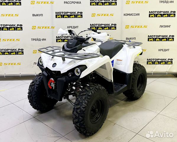 Квадроцикл Bison Hammer 200L Winch