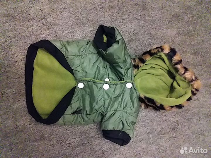 Одежда для собак