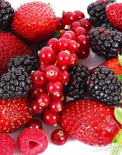 Ягода жимолость и др. с доставкой на Правый Берег