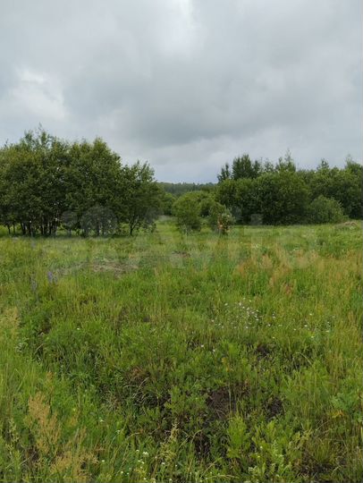 Участок 20 сот. (СНТ, ДНП)