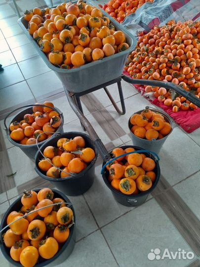 Хурма бычье сердце