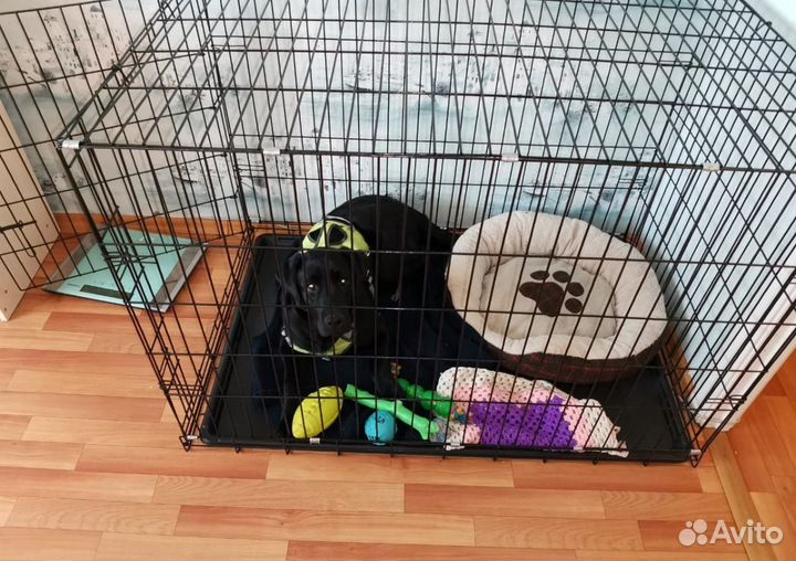 Клетка для собак и кошек магазин клеток