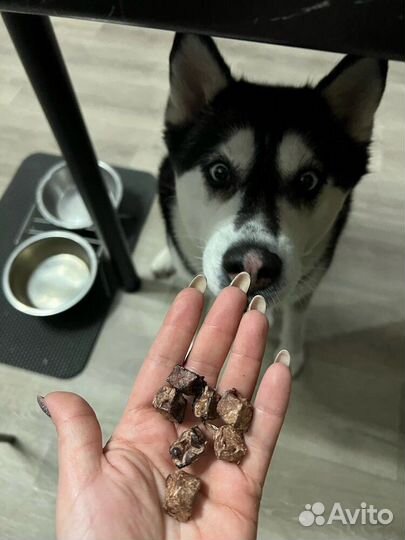 Легкое говяжье сушеное лакомство для собак