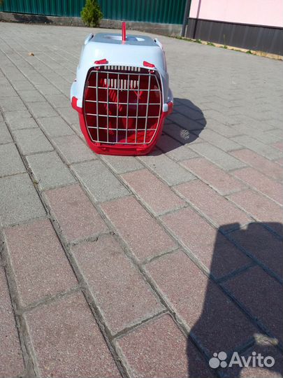 Переноски для собак