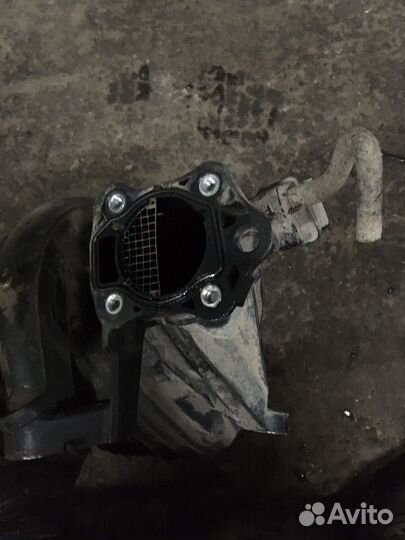 Toyota rav4 Коллектор