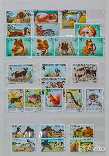 Марки почтовые иностранные, гашенные фауна