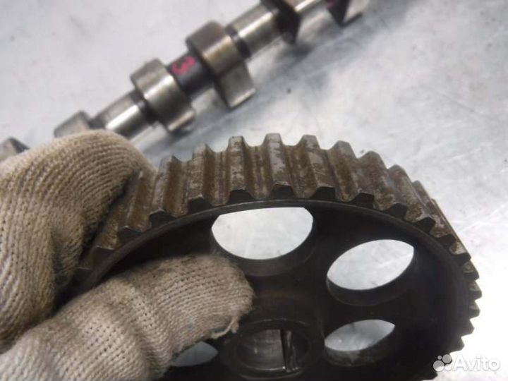 Шкив распредвала Лада Калина 21114 2007