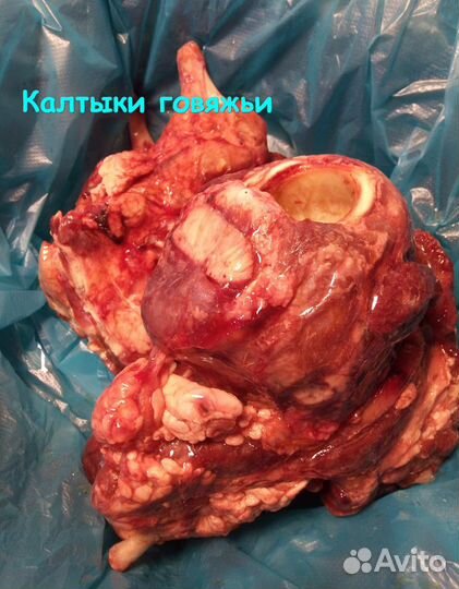 Мясо для собак и кошек (говядина, курица, индейка)