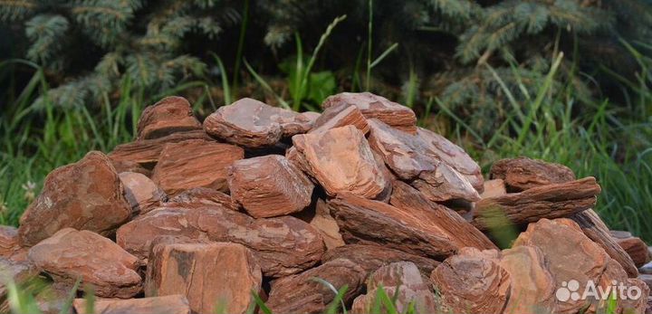 Кора от сосны