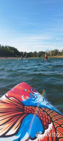 Сапборд аренда sup board прокат сап борд,сапа