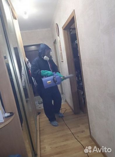 Средство для Уничтожения клопов травля тараканов дезинфекции