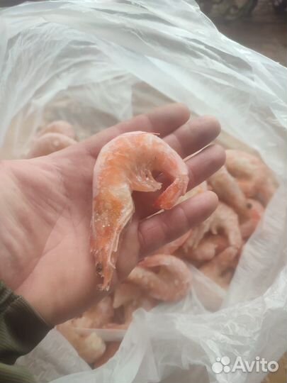 Креветки королевские