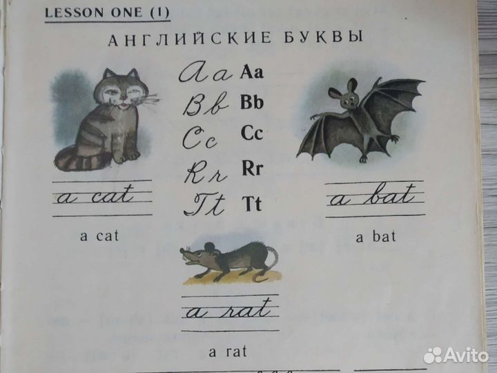 Английский язык для детей. Учебник для малышей