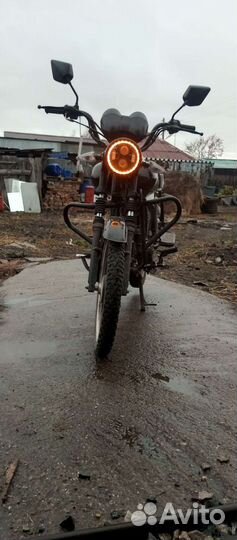 Alpha Shuriken edition