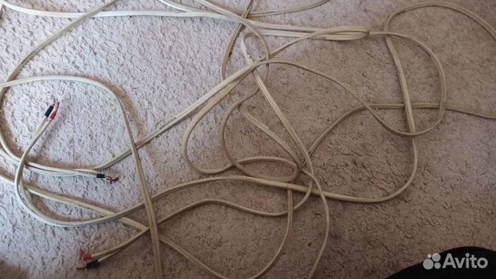 Monster Xp-Hp.Van Den Hul