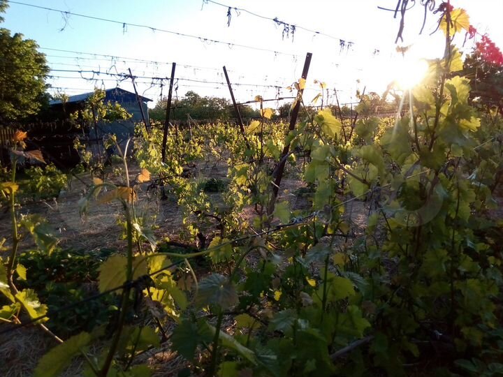 Дача 69,8 м² на участке 35 сот.