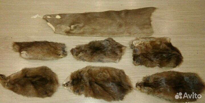Мех куски шкуры натуральные рукоделие печворк