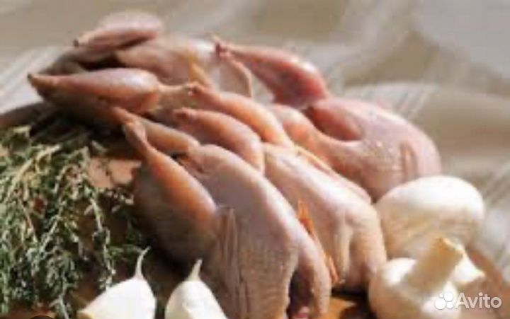 Мясо перепелов