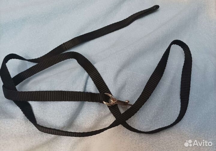 Поводок для кошек, шлейка, одежда, миски, пледы