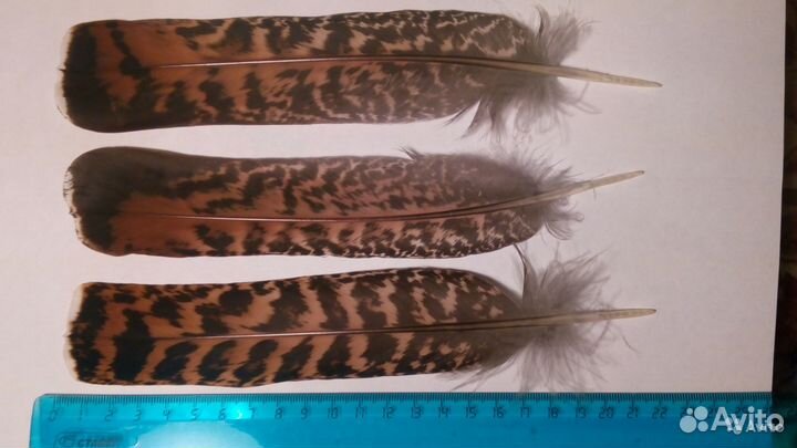 Продам натуральные перья