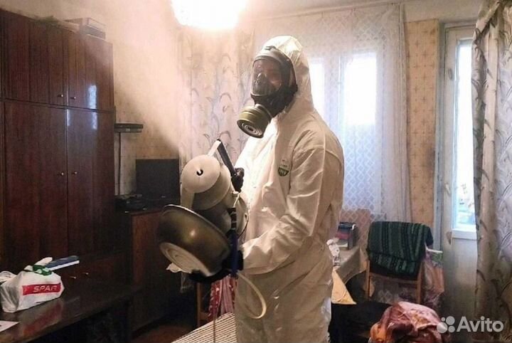 Уничтожение клопов. Дезинсекция тараканов