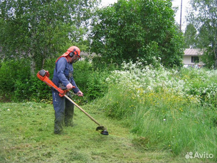 Покос травы, расчистка участка