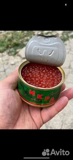 Икра красная оптом и в розницу