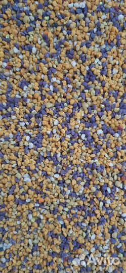 Пыльца пчелиная 2024