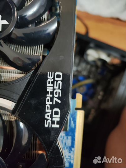 Видеокарта hd 7950