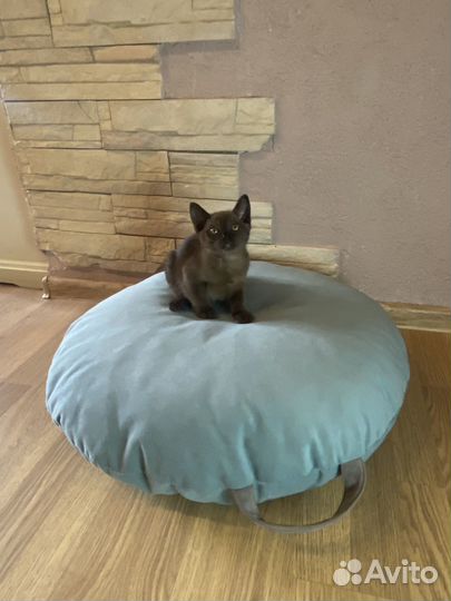 Лежак для собаки