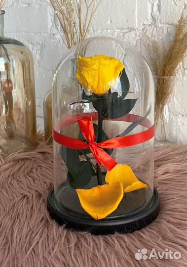 Роза в колбе. Жёлтая