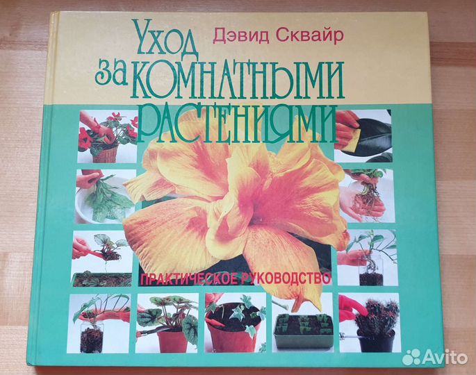 Дэвид Сквайр 