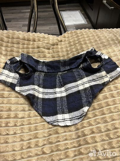 Вещи для собак маленьких пород