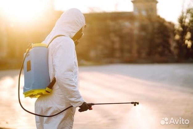 Уничтожение клопов, грызунов и насекомых