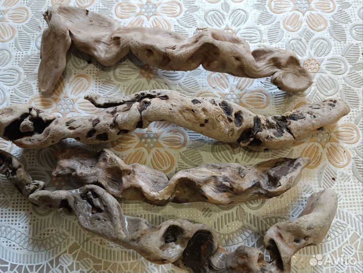 Коряги дрифтвуд