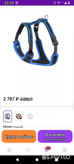 Ошейник, шлейка, поводок