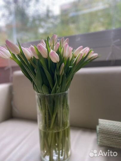 Букет из тюльпанов