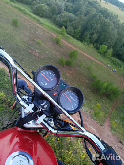 Alpha vortex 49,9 (110)